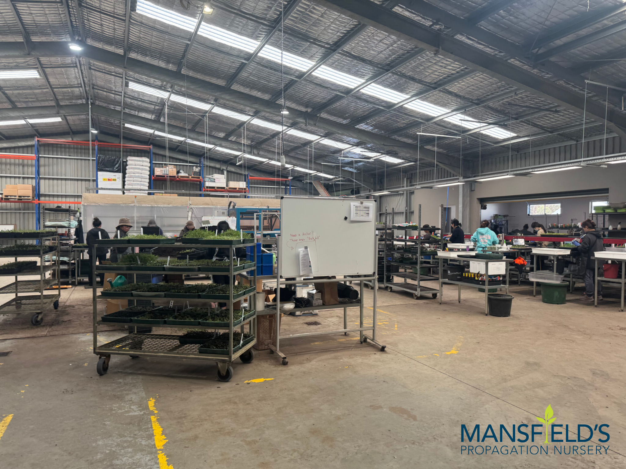 How Mansfield's  Replaced an Ageing Business System